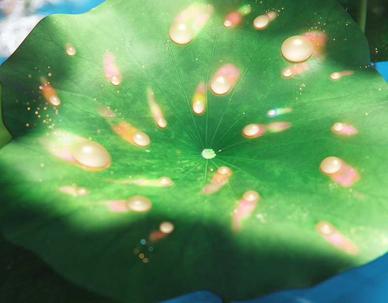 Певица Ольга Серябкина показала фото с мужем и сыном